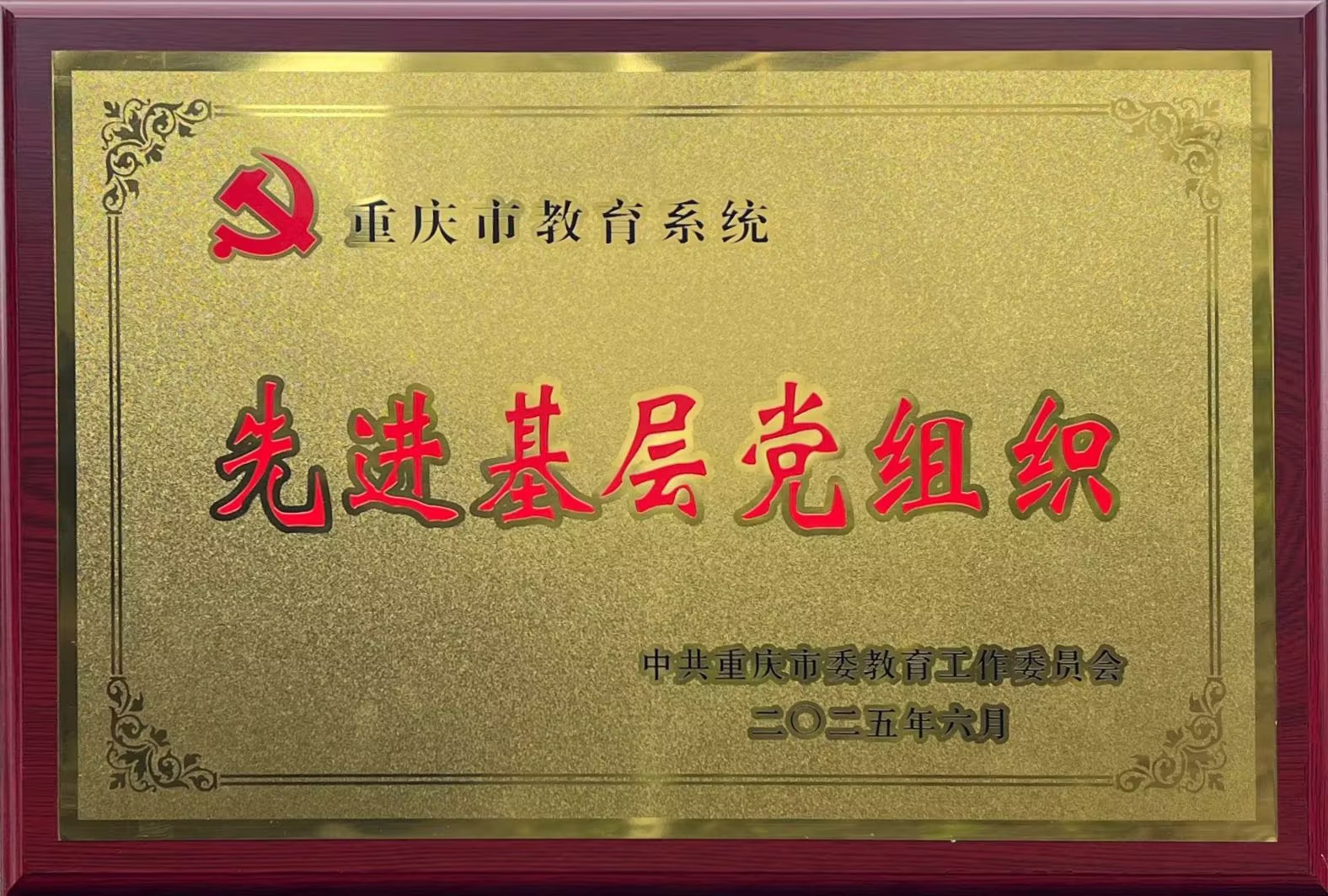 2025重庆市先进基层党组织.jpg